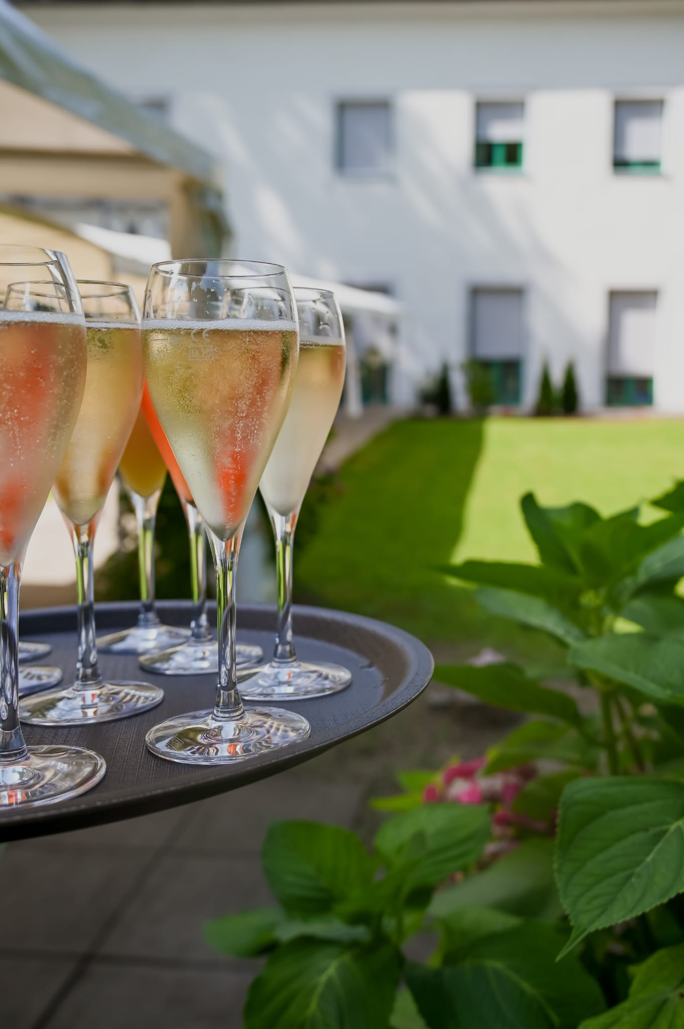 Hotel am Schloss, Aussenansicht back + Sekt