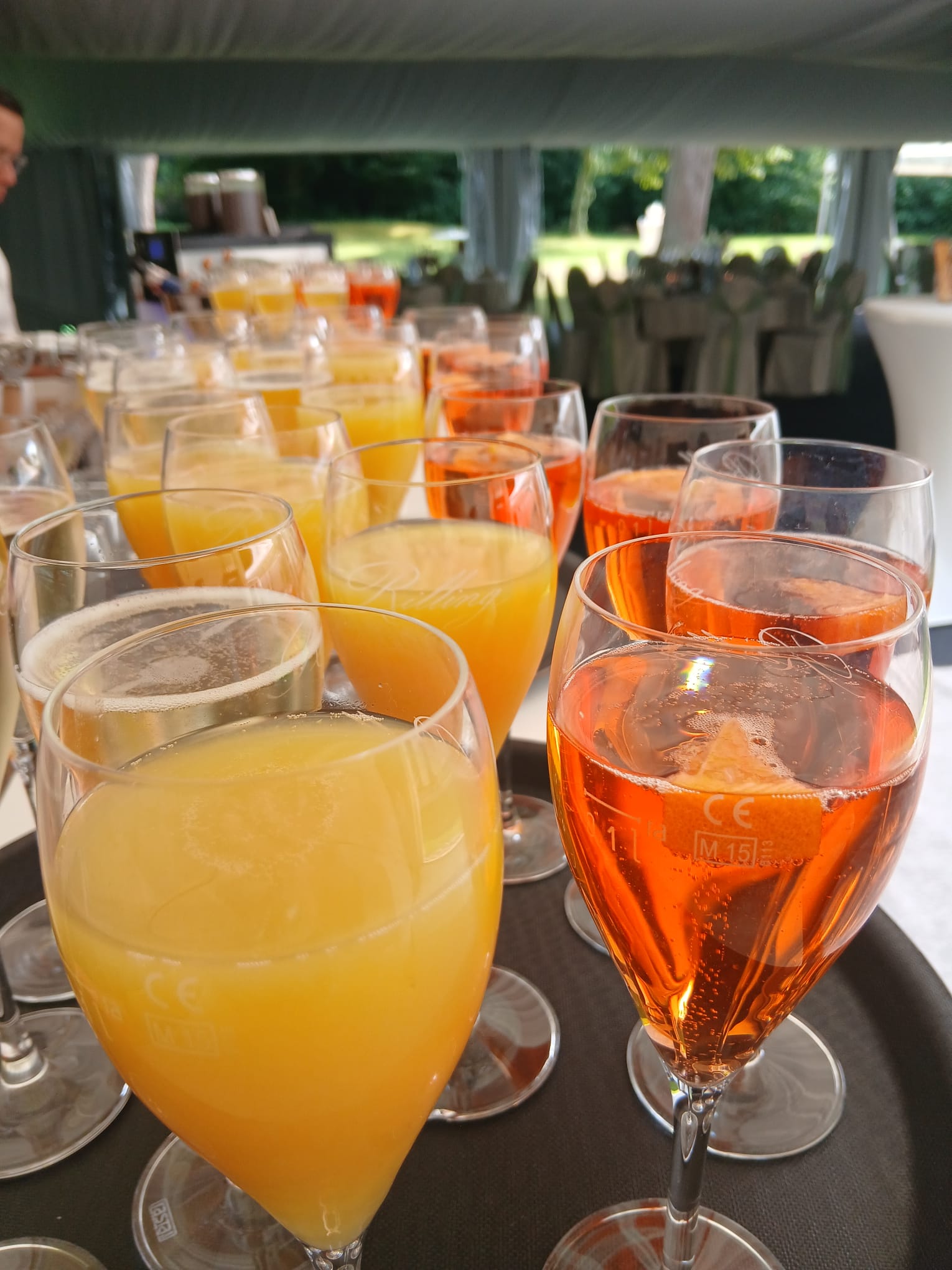 Hotel am Schloss, Hochzeit Trinken